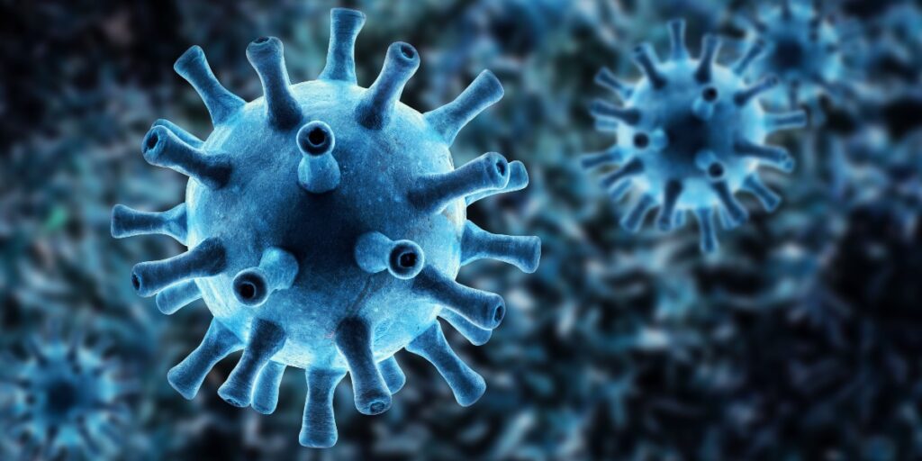 Emergenza coronavirus: news del 25.12.2022
